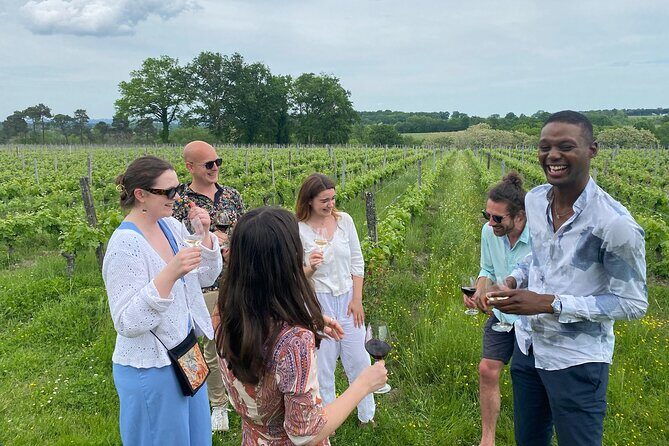 Half-Day Guided Wine Tasting Tour in Bordeaux Vineyards - Key highlights you’ll feel on the day