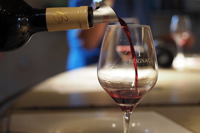 Half-Day Guided Wine Tasting Tour in Bordeaux Vineyards - Getting from central Bordeaux to wine-country energy (by air-conditioned comfort)