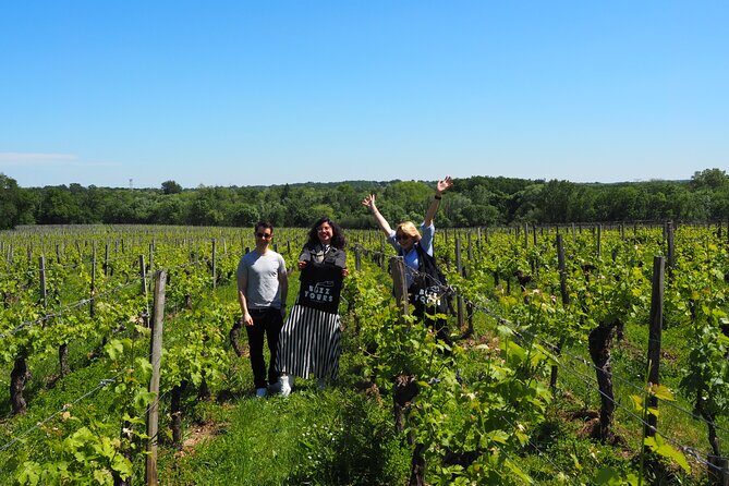 Half-Day Guided Wine Tasting Tour in Bordeaux Vineyards - What you’ll learn about Bordeaux wine (even if you start at zero)