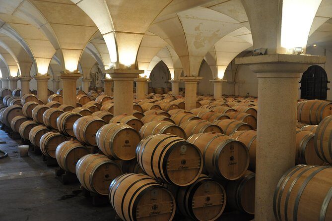 Half-day tour to Saint Emilion, a UNESCO site, with a private guide - Saint-Émilion in 6.5 Hours: the feel of this private day