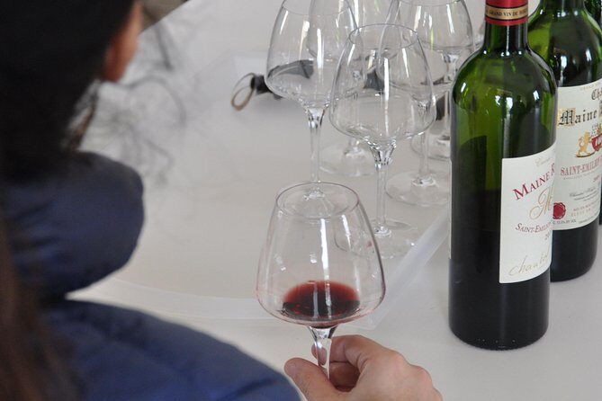 Half-day tour to Saint Emilion, a UNESCO site, with a private guide - Value and price: what $768.15 per group covers