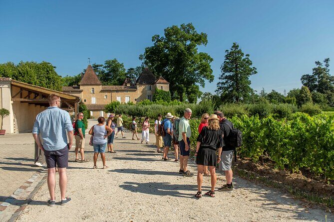 Half-Day Wine tour across Bordeaux’s Vineyards - Key Highlights Worth Planning Around