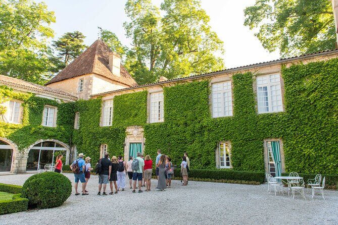 Half-Day Wine tour across Bordeaux’s Vineyards - The Coach Ride: Comfortable Transport, Longer Explanations, and a Two-Language Twist