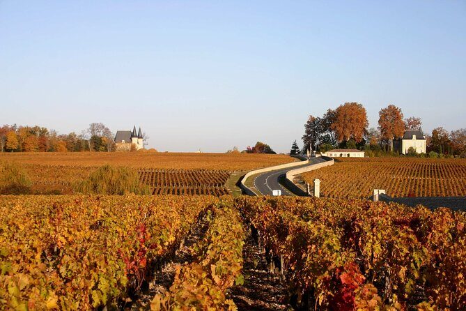 Half-Day Wine tour across Bordeaux’s Vineyards - Wine Tasting Reality: What You Get in Your Glass and How It’s Managed