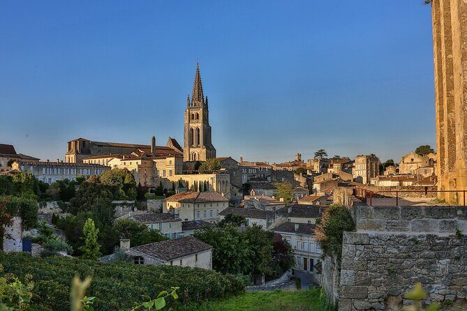 Half-Day Wine tour across Bordeaux’s Vineyards - Food and Comfort: Plan Snacks, Expect Rain-Ready Bordeaux