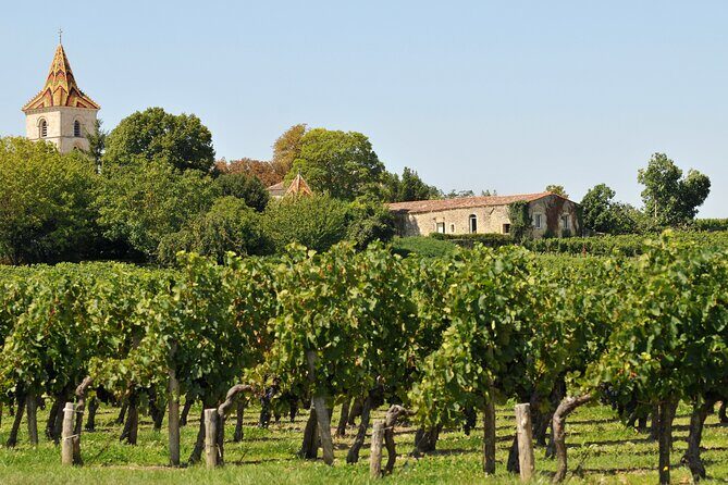 Half-Day Wine tour across Bordeaux’s Vineyards - Time Management: Why the Half-Day Format Can Feel Both Great and Tight