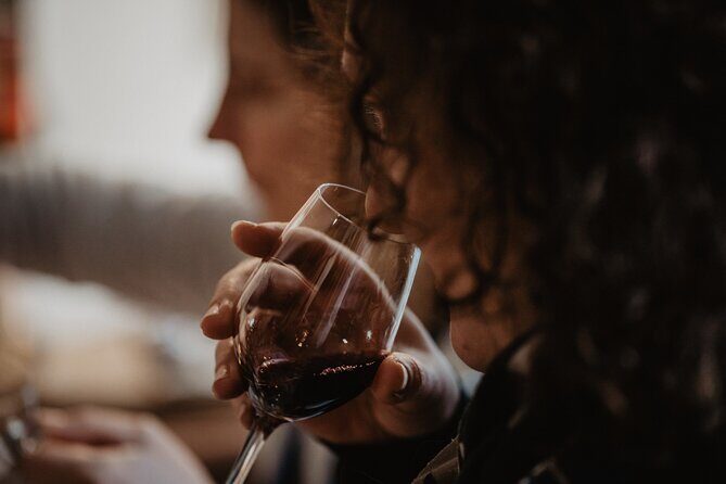 Introduction to Bordeaux wines paired with cheeses & charcuterie - Language Reality Check: English Booking, Possible French Delivery