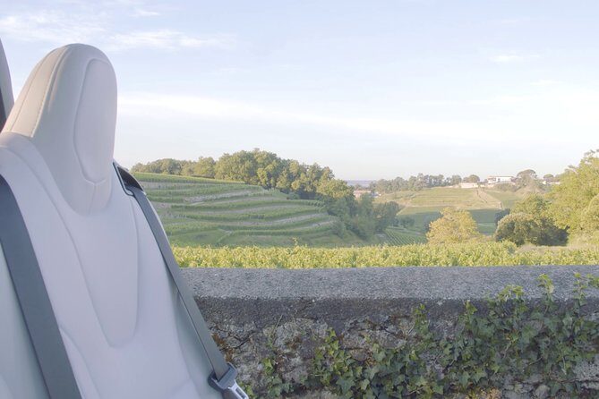 Luxurious full day Bordeaux wine tour in a Tesla - Tastings and visits: what you’ll likely enjoy, and what you should budget