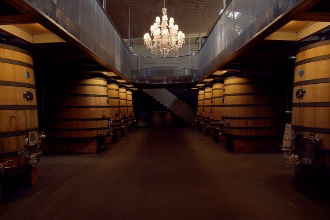 Luxurious full day Bordeaux wine tour in a Tesla - Value check: is $396 a fair price for 8 hours in Bordeaux?