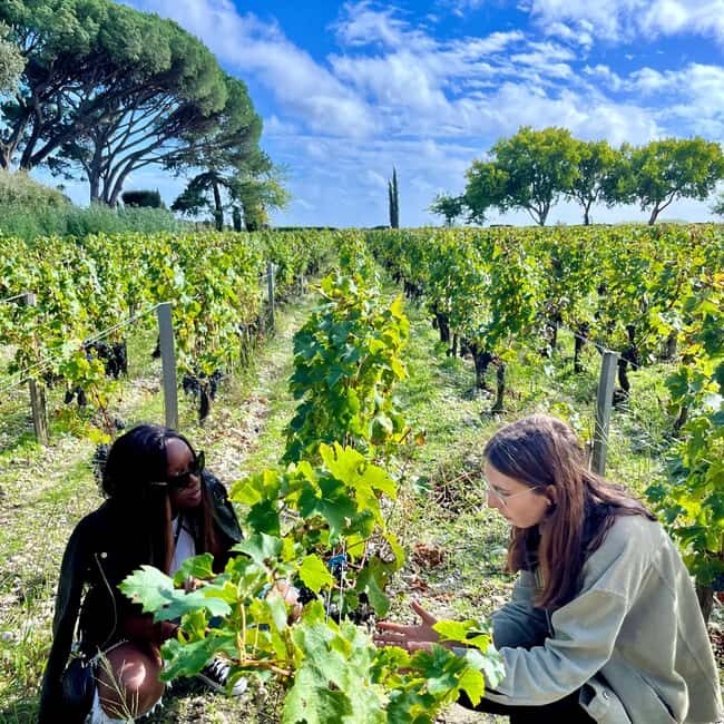 Margaux & Médoc private FULL day tour with a classic car - Margaux: The Picnic Moment and the Best Place to Compare Styles