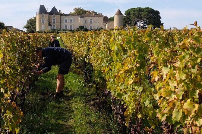 Margaux Wine Tour experience - Scheduling: The 4 to 5 Hour Sweet Spot