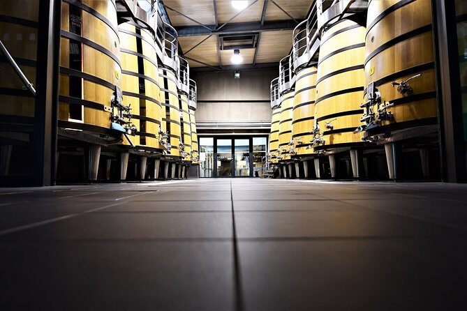 Medoc Afternoon Wine Tour - 2 Wineries, tastings & delicacies - How many wines you’ll taste, and what that means for your palate