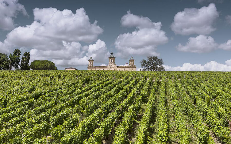 Médoc Morning Wine Tour - Winery & Tastings - Quick hits before you go