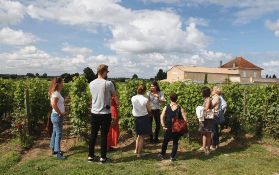 Médoc Morning Wine Tour - Winery & Tastings - The van ride from Bordeaux: your warm-up for the wine country