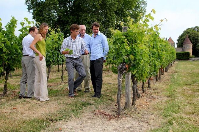 Medoc or Saint Emilion Wine Tasting and Chateau from Bordeaux - Choosing Médoc or Saint-Émilion: the big decision