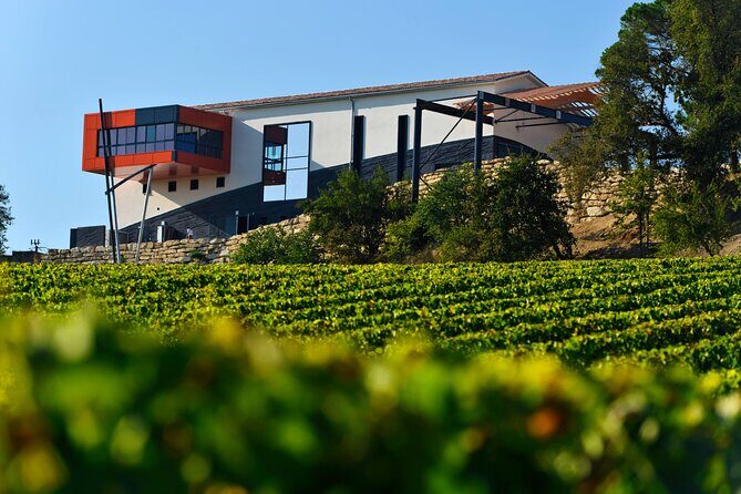 Medoc Private Half Day Wine Tour from Bordeaux - Private Bordeaux-to-Medoc time: what makes this tour feel worth it