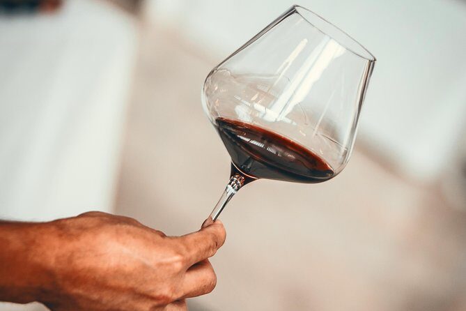 Medoc Region Wine Day Trip with Vineyard Visits & Tastings from Bordeaux - Key highlights and what makes this tour tick