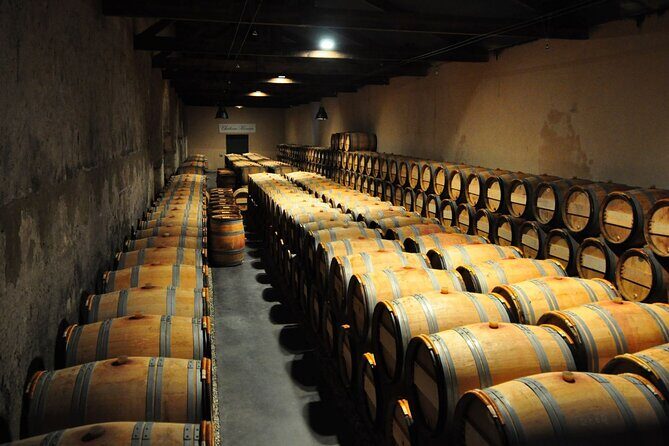 Medoc Region Wine Day Trip with Vineyard Visits & Tastings from Bordeaux - Pauillac Town Time: Lunch on Your Own and a Chance to Reset