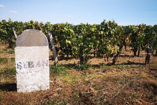 Medoc Region Wine Day Trip with Vineyard Visits & Tastings from Bordeaux - Final Château Stop: Classified Growth or Crus Bourgeois for a Strong Finale