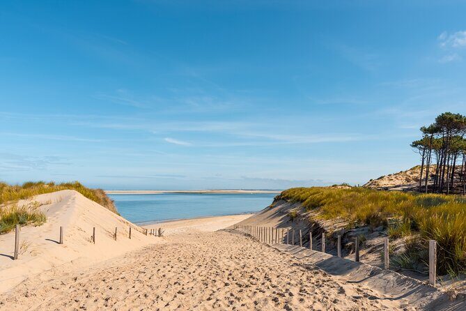 Private Arcachon Full-Day tour, from Bordeaux - Rue du Port de Larros: oysters, boats, and how the bay feeds people