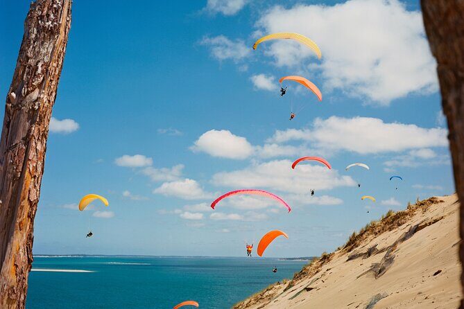 Private Arcachon Full-Day tour, from Bordeaux - Who this Arcachon day is best for