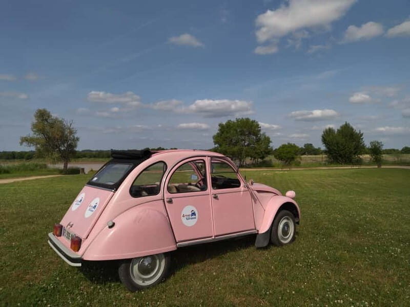 Private Half-Day Wine Tour in Citroën 2CV - Saint-Emilion: village on foot, lunch in the vineyards, and macaroon tasting