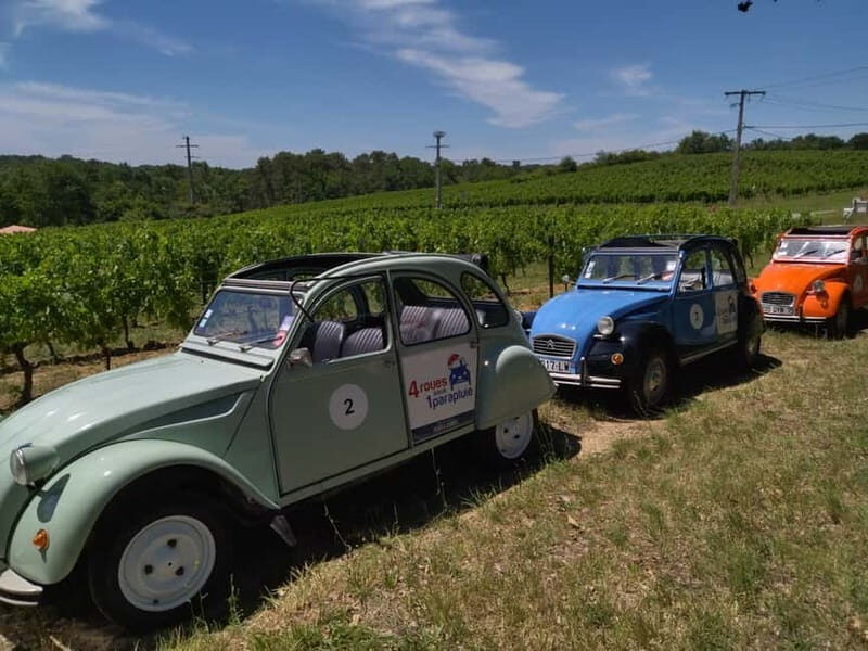 Private Half-Day Wine Tour in Citroën 2CV - Choosing your region: Médoc, Pessac-Léognan, or Saint-Emilion