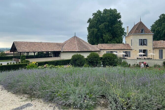 Private Tour and Tastings in St-Emilion: Grands Crus and Monuments - A Private Day in Saint-Émilion, With Monuments and Grands Crus