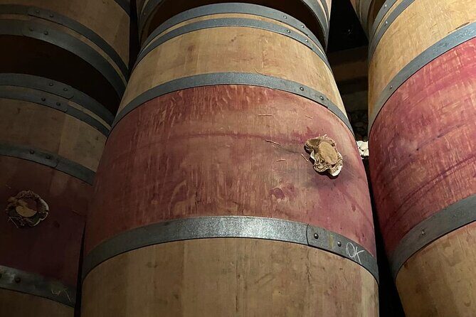Private tour in the prestigious Médoc wine region - Price and value: what $217.81 per person buys you