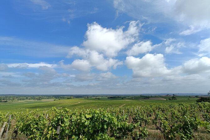 Private tour in the Sauternes wine region - discover Bordeaux sweet Crus Classés - Stop 2: Château La Tour Blanche tour and tasting