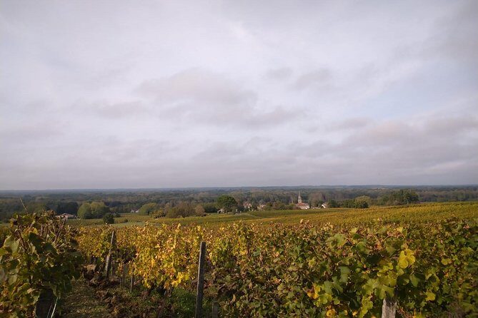 Private tour in the Sauternes wine region - discover Bordeaux sweet Crus Classés - Logistics that help your day go smoothly