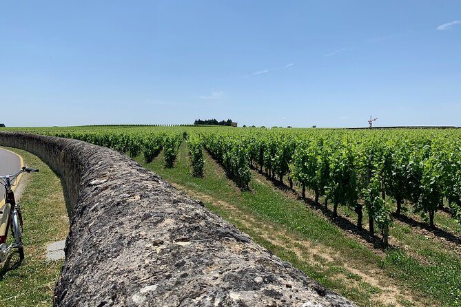 Saint-Emilion Afternoon Wine Tour - 2 Wineries & delicacies - Saint-Émilion Village: UNESCO Streets, Medieval Views, and Time Limits