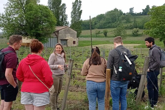 Saint-Emilion Afternoon Wine Tour - 2 Wineries & delicacies - Tastings, Pacing, and What You’ll Learn by Comparisons
