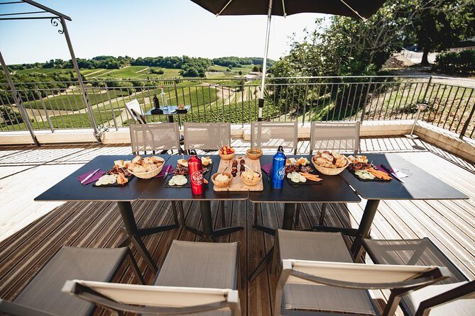 Saint-Emilion Electric Bike Day Tour with Wine Tastings & Lunch - Les Domaines de Moncets: second château visit and tasting