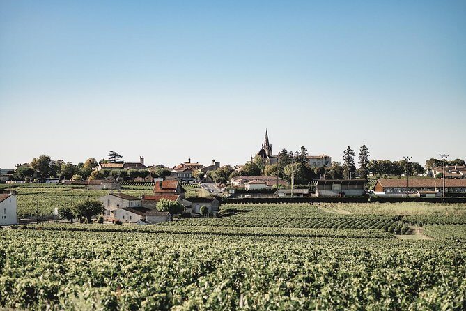Saint-Emilion Electric Bike Day Tour with Wine Tastings & Lunch - Weather plan and comfort level: what to expect if it rains