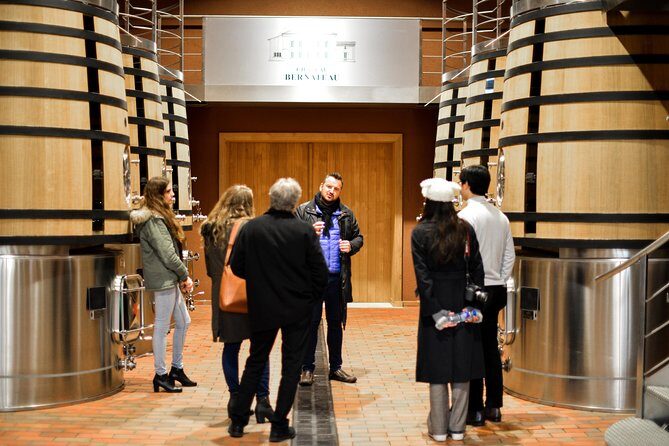 Saint-Emilion Food and Wine Day Tour - Saint-Émilion Village Walk: UNESCO Streets With a Guide