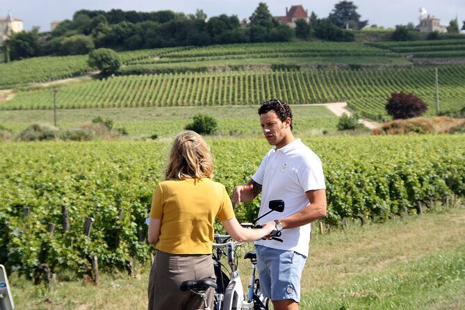 Saint Emilion Full Day Wine and Bike Tour - Price and Value: Why $216.56 Can Make Sense Here