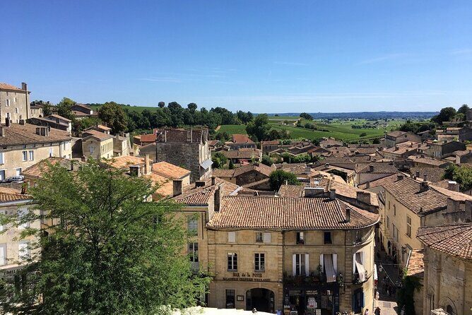 Saint Emilion Full Day Wine and Bike Tour - Chateau Stop and Tasting: Lunch With a View of the Vines