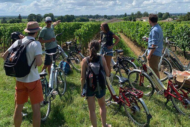 Saint Emilion Full Day Wine and Bike Tour - Family-Owned Estate Visit: A Different Terroir Perspective