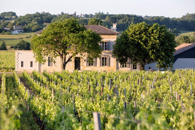 Saint Emilion Half-Day Trip with Wine Tasting & Winery Visit from Bordeaux - The Grand Cru Château Stop: Tasting With Real Guidance