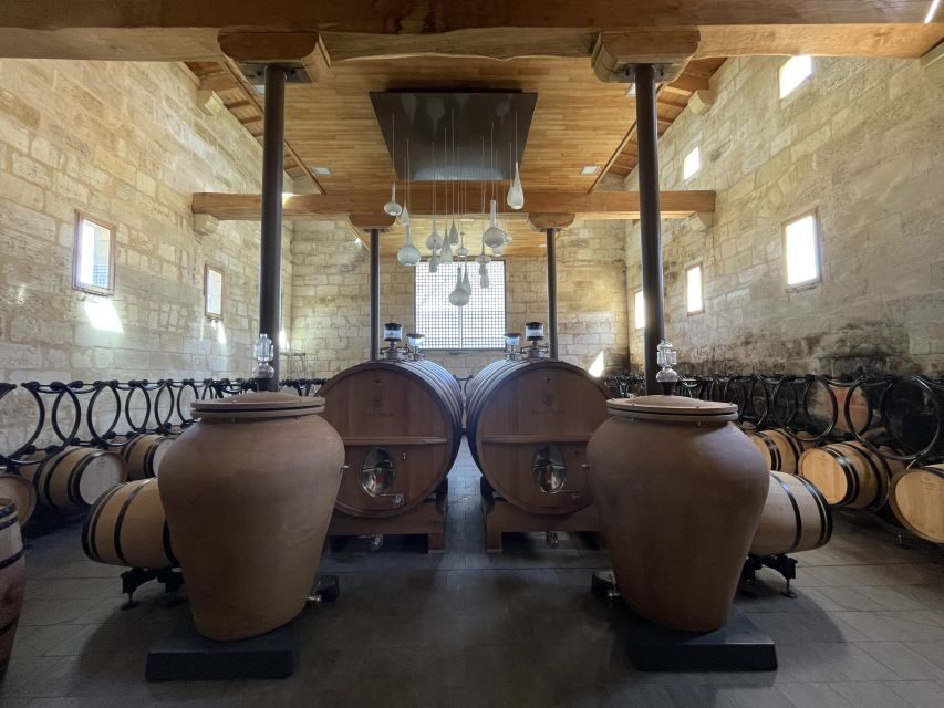 Saint-Emilion : half-day wine-tour into classified estates - Meeting Bastien and Getting Into the Right-Bank Rhythm