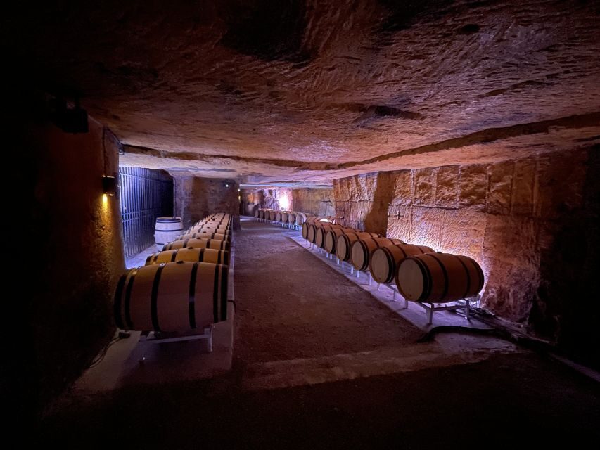 Saint-Emilion : half-day wine-tour into classified estates - Second Classified Estate: Vineyard Walk, Cellar Talk, and Vinification Clarity
