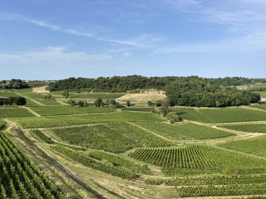 Saint-Emilion : half-day wine-tour into classified estates - Who This Tour Suits Best (and Who Might Prefer Something Else)