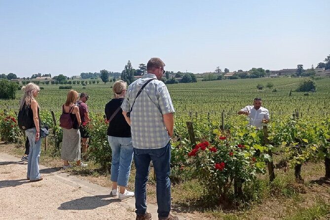 Saint Emilion Morning Wine Tour - Winery & Tastings from Bordeaux - Price and what you truly get for about $116
