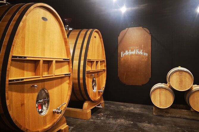 Saint-Emilion Private Full Day Wine Tour from Bordeaux - Quick Take: What Makes This Saint-Émilion Day Work