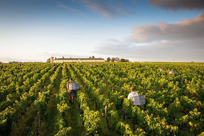Saint-Emilion Private Full Day Wine Tour from Bordeaux - Saint-Émilion in One Day: What You’re Really Buying