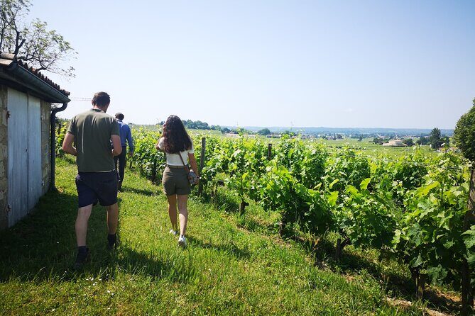 Saint-Emilion Private Full Day Wine Tour from Bordeaux - Your Guide Shapes the Day: Names You’ll Hear for a Reason