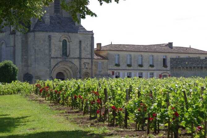 Saint-Emilion Private Full Day Wine Tour from Bordeaux - Who This Tour Fits Best (And Who Might Want Another Option)