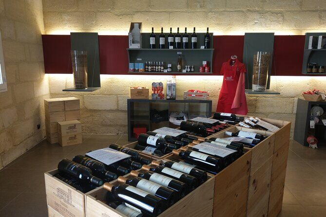 Saint-Emilion Private Full Day Wine Tour from Bordeaux - Hotel Pickup From Bordeaux: The Start That Saves Time
