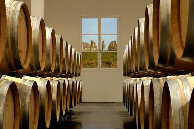 Saint-Emilion Private Half Day Wine Tour from Bordeaux - The Grand Cru estate tasting: what you’re really paying for